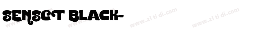 SENSCT Black字体转换